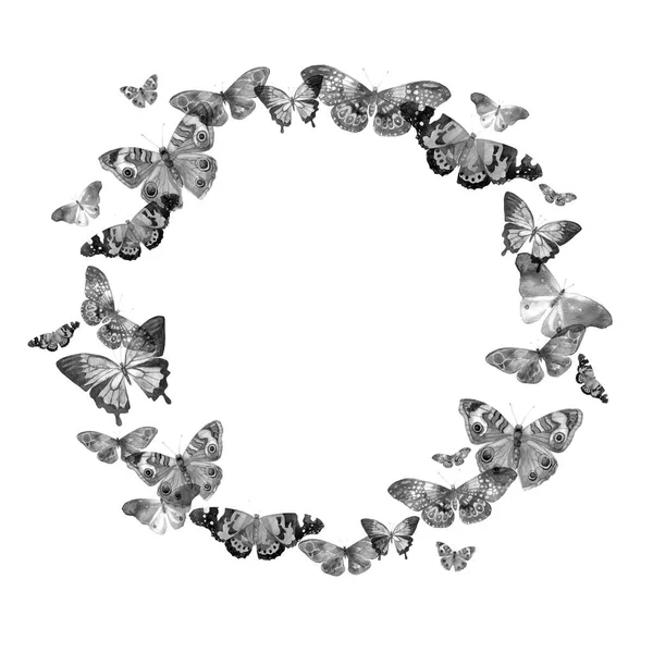 Moldura aquarela com a imagem de borboletas transparentes em cores preto e branco e cinza em um fundo branco — Fotografia de Stock