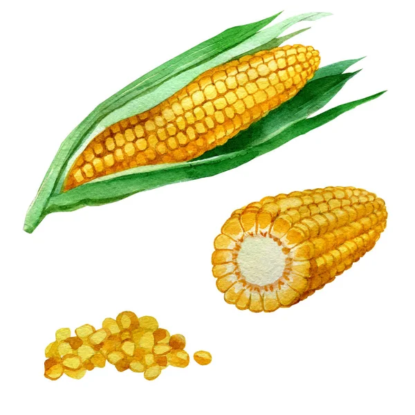 Sulu boya resim. Mısır.