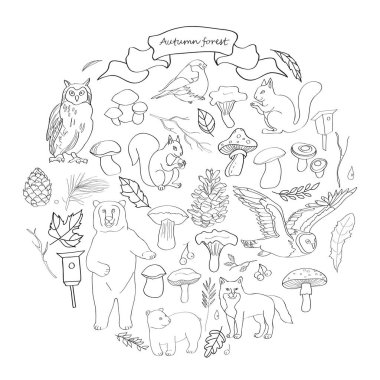 yaprakları, dalları, meyveler, çiçekler, hayvanlar ve kuşlar, sonbahar öğeleri, ayı, sincap, tilki, baykuş görüntü ile ayarlayın. Siyah ve beyaz çizgili, vektör