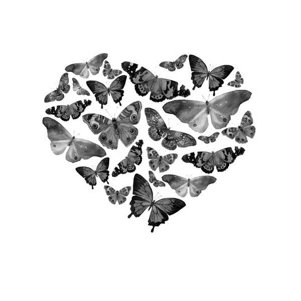 Watercolor heart filled with bright transparent butterflies of black and white and gray shades. — Stock Photo, Image