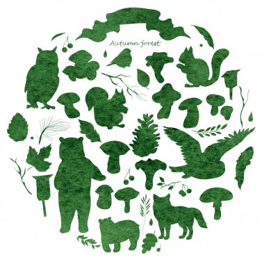 Sulu boya resim, yapraklar, dallar, çilek, çiçekler, hayvanlar ve kuşlar, sonbahar öğeleri görüntü ile ayarla, ayı, sincap, tilki, baykuş. Yeşil suluboya doku.