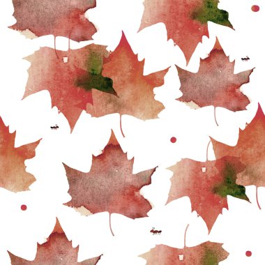 Sulu boya resim. Şeffaf kırmızı akçaağaç yaprağı deseni.