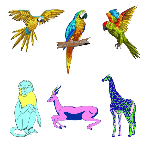 Illustration de vecteur de couleur. Ensemble d’animaux, perroquets, girafe, singe, gazelle. — Image vectorielle