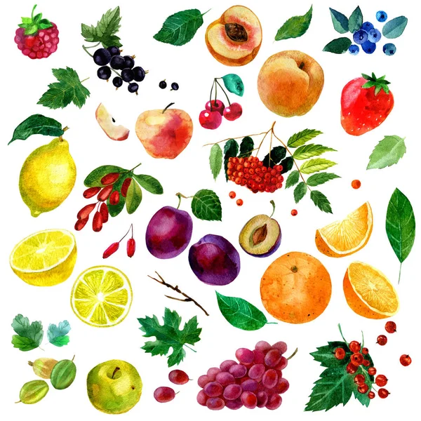 Akvarell illustration, uppsättning akvarell frukt och bär, delar och blad, persika, plommon, citron, apelsin, äpple, druvor, jordgubbar, hallon, körsbär, vinbär, björnbär, blåbär, goo — Stockfoto