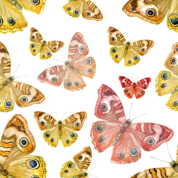 Akwarela, ilustracja, wzór motyle na białym tle. — Zdjęcie stockowe