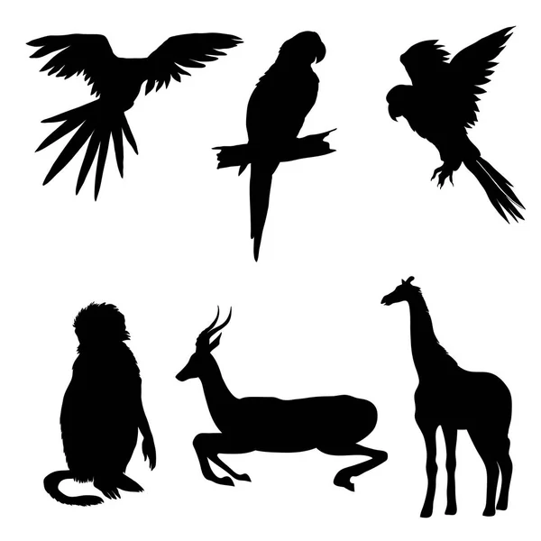 Illustrazione vettoriale. Set di animali, pappagallo, giraffa, scimmia, gazzella. Silhouette nera — Vettoriale Stock