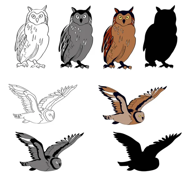 Illustration vectorielle, une image d'un hibou sous différents angles, un hibou assis, un hibou volant. Ligne noire, taches noires et blanches et grises, silhouette noire, image couleur — Image vectorielle