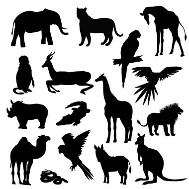 Vektör çizim. Hayvanlar, papağan, zürafa, maymun, ceylan, fil, Gergedan, kanguru, deve, aslan, zebra, timsah, yılan, kaplan kümesi. Siyah siluet.