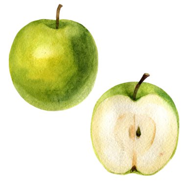 Sulu boya resim. Bir görüntü bir elma ve elma yarısı.