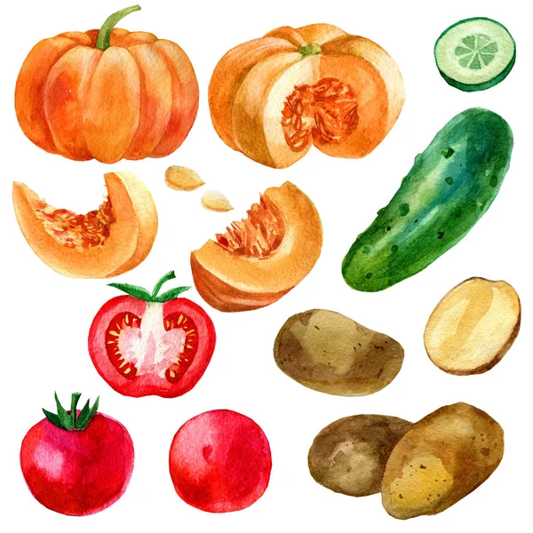 Aquarell Illustration, Set, Bild von Gemüse, Tomaten, Kartoffeln, Kürbis und Gurke. — Stockfoto