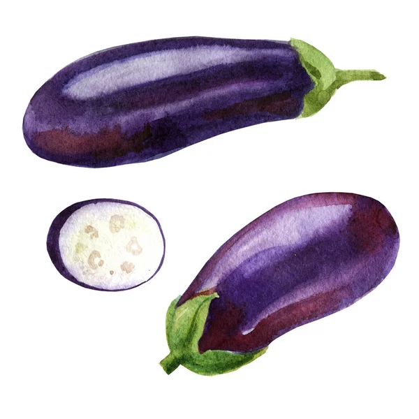 Watercolor illustration. Image of eggplant from different sides, aubergine slices. — Stock Photo, Image