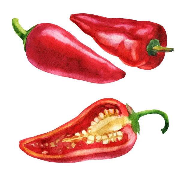 Akvarell illustration. Bilden av röd paprika från olika sidor, hälften av peppar. — Stockfoto