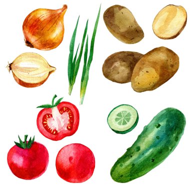 Sulu boya resim, sebze, domates, patates, salatalık ve soğan hazır, görüntüleri.