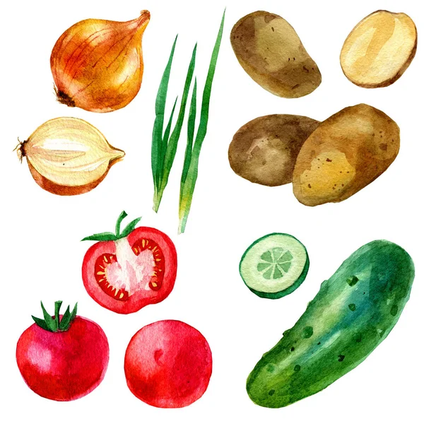 Ilustración de acuarela, conjunto, imágenes de verduras, tomates, papas, pepino y cebolla . — Foto de Stock