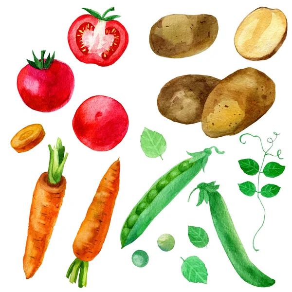 Sada příborů, obraz akvarel ilustrace, zeleniny, cibule, hrášek, okurky a rajčata. — Stock fotografie