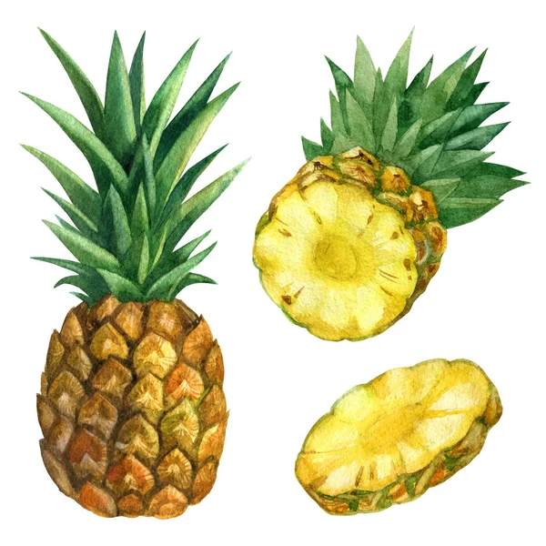 Illustration aquarelle. Ananas, tranches d'ananas, moitié et un morceau d'ananas . — Photo