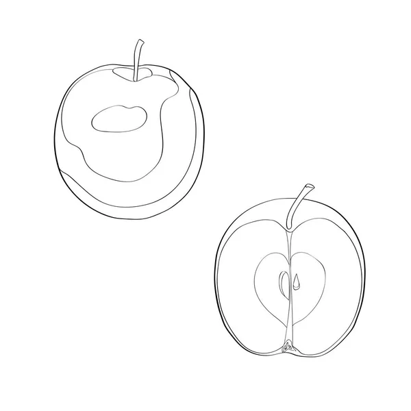 Vektorillustration. Apfel, geschnittener Apfel, halber Apfel. schwarze Linie, Umriss. — Stockvektor