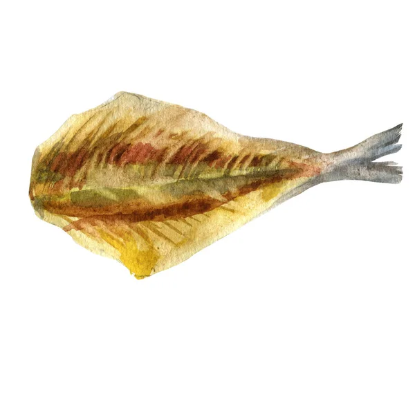 Sulu boya resim. Farklı türlerde kurutulmuş balık füme. — Stok fotoğraf