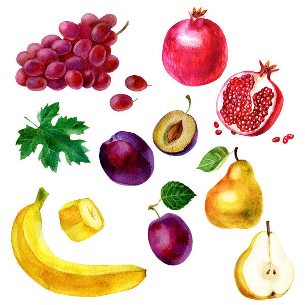 Акварельная иллюстрация, набор. Изображение фруктов, винограда, бананов, граната, сливы и груши
