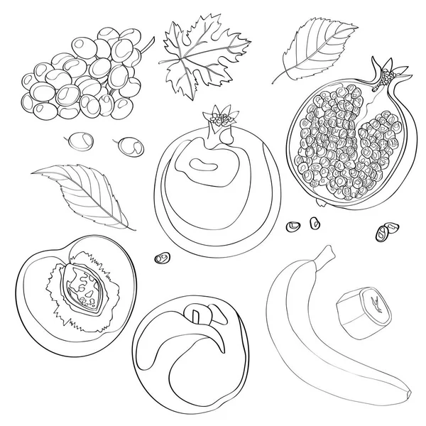 Ilustração vetorial, conjunto. Uvas, romã, meia romã, pêssego, meio pêssego, folhas de pêssego, banana e um pedaço de banana. Linha preta, contorno . —  Vetores de Stock
