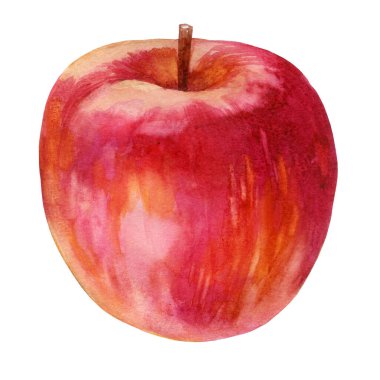 Suluboya çizimi. Kırmızı Elma. Bir.