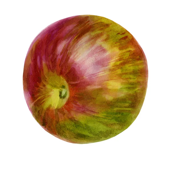 Aquarell-Illustration. Apfel auf der Seite. eins — Stockfoto