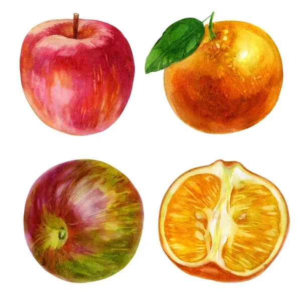 Ilustración en acuarela, set. Manzanas rojas al costado. La mandarina entera en la piel, la mitad de la mandarina en la piel . — Foto de Stock