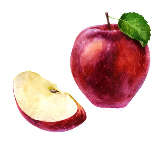 Εικονογράφηση Ακουαρέλας Σετ Υδατογραφία Κόκκινο Μήλο Και Μήλο Φέτα — Φωτογραφία Αρχείου