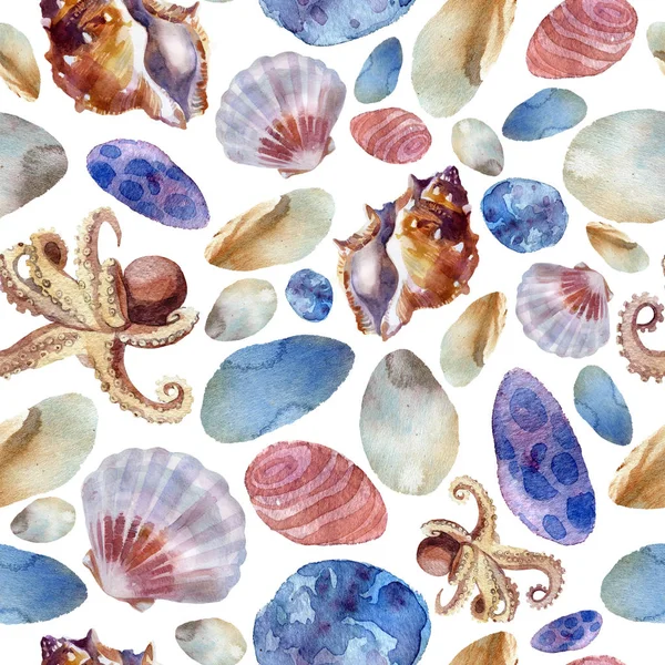 Watercolor illustration, pattern. Sea pattern, shells, sea stones octopus White background