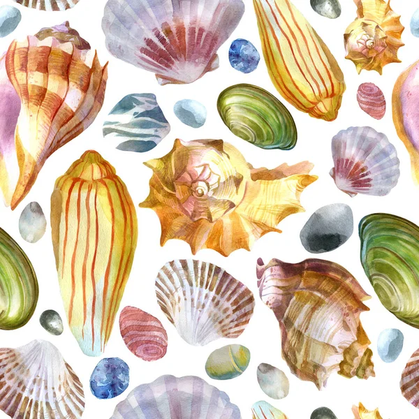 Watercolor illustration. Pattern of sea shells and sea stones on a white background. Summer theme, beach and relaxation