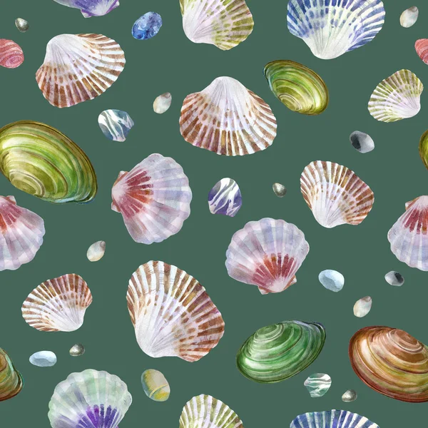 Illustrazione Acquerello Modello Conchiglie Pietre Marine Sfondo Grigio Verde Tema — Foto Stock