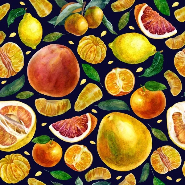 水彩画 蓝色背景的柑橘类水果的图案 橘子片 枝条上的橘子片 — 图库照片