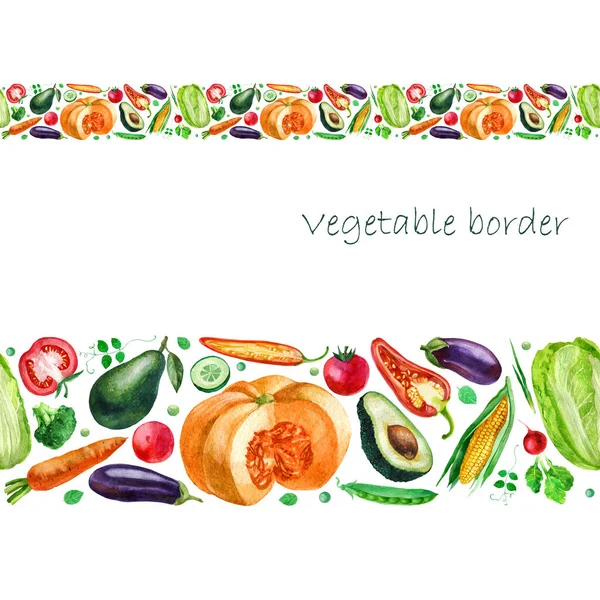 Acuarela Borde Ilustración Verduras Verduras Tira Calabaza Tomate Brócoli Col — Foto de Stock