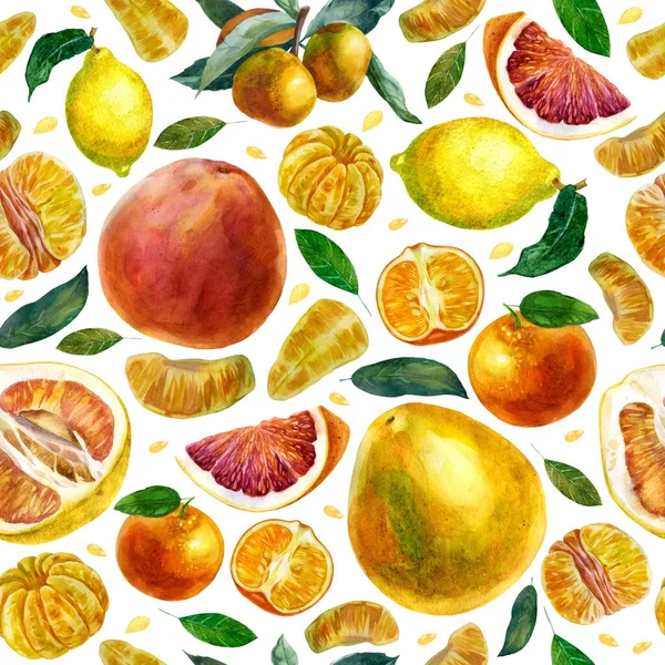 Watercolor illustration pattern of citrus fruits on a white background. Tangerines, slices of tangerines, leaves, grapefruit, pomelo, tangerines on a branch.
