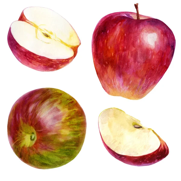 Suluboya Çizimi Set Suluboya Kırmızı Elma Kırmızı Yeşil Elma Elma — Stok fotoğraf