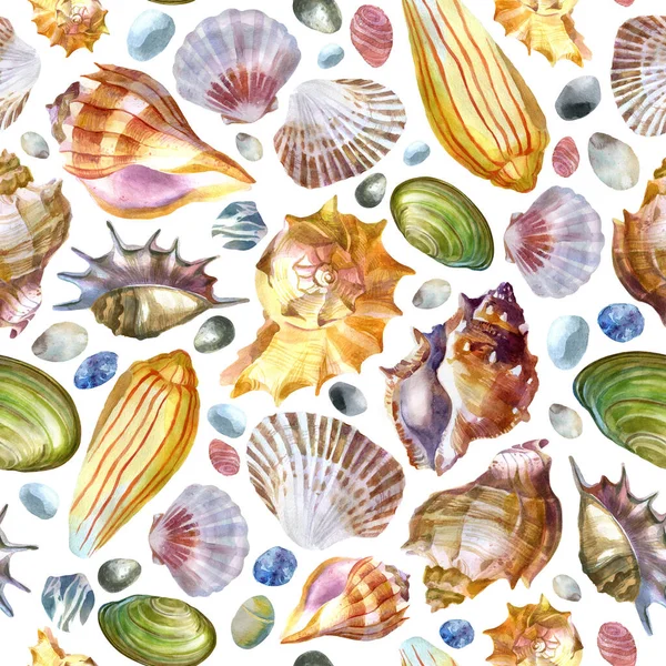 Modello Illustrazione Acquerello Conchiglie Pietre Marine Sfondo Bianco Tema Estivo — Foto Stock