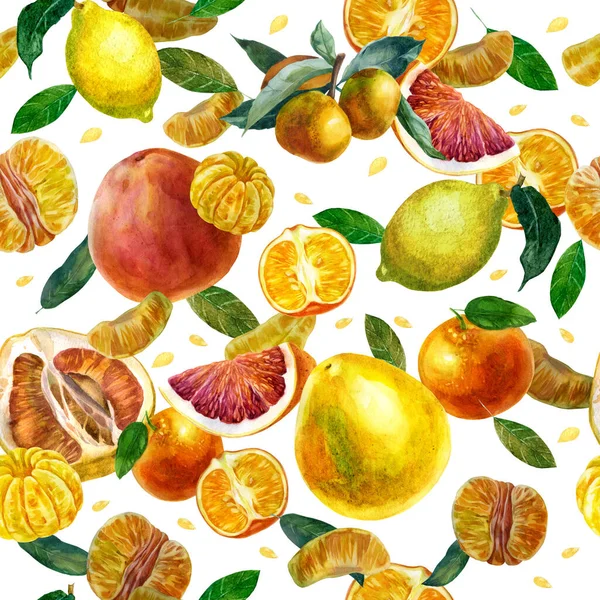柑橘类水果在白色背景上的水彩画图案 橘子片 柚子石榴叶 橘子枝上的橘子片 — 图库照片