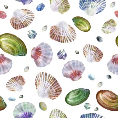 Beyaz arka planda deniz kabukları ve deniz taşlarının suluboya desenleri. Yaz teması, plaj ve rahatlama.