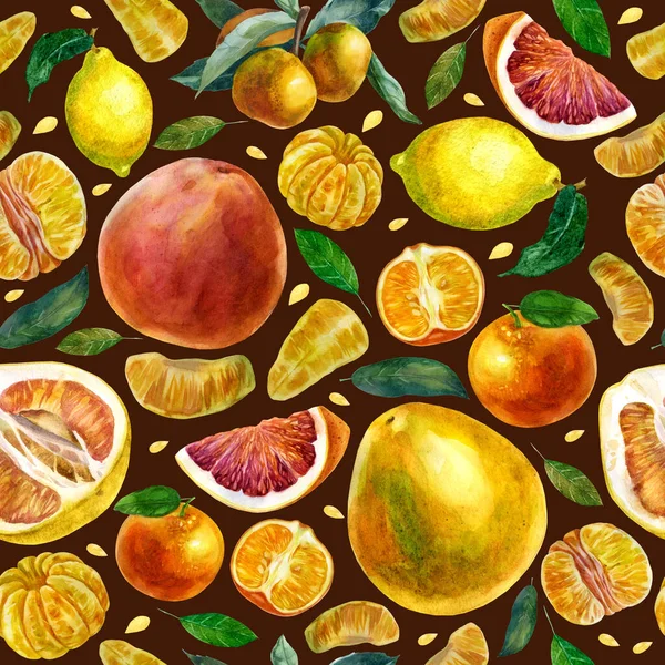 茶色の背景に水彩画柑橘系の果物のパターン タンジェリン タンジェリンのスライス グレープフルーツ ザボン 枝のタンジェリン — ストック写真