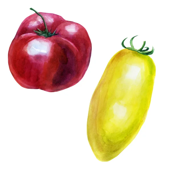 Set Illustrazione Acquerello Pomodoro Pittura Acquerello Disegnata Mano Sfondo Bianco — Foto Stock