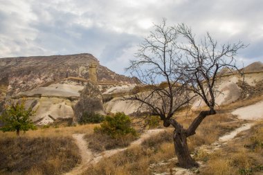 Dağlardaki turist kapasitesi