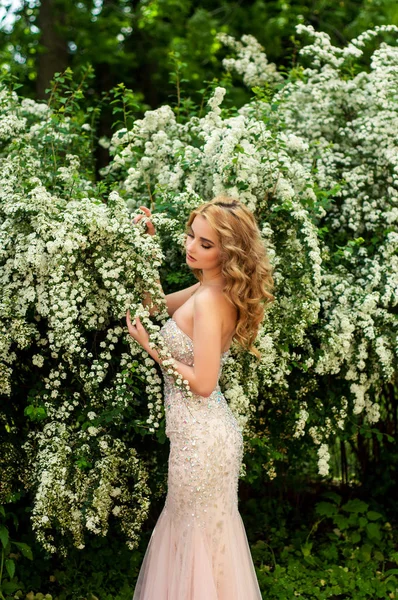 Menina em vestido de cocktail à noite em uma primavera no meio entre arbustos floridos e árvores belo sorriso — Fotografia de Stock