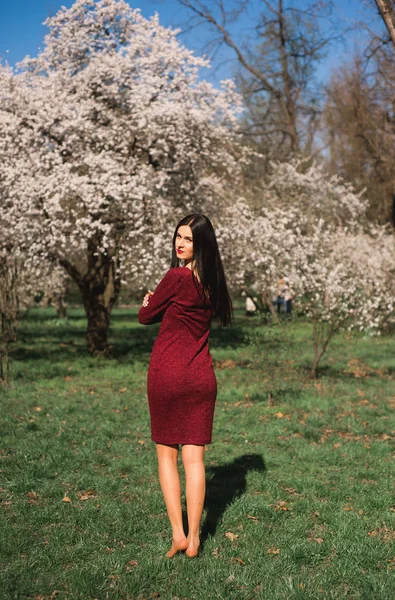 Kırmızı Bir Elbise Çiçekli Ağaçlar Ortasında Bir Bahar Üzerinde Bir — Stok fotoğraf