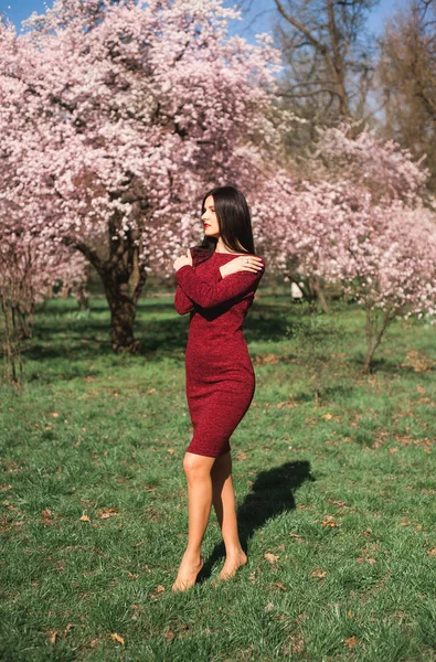 Krásná Mladá Brunetka Dlouhými Vlasy Parku Jaře Uprostřed Kvetoucích Stromů — Stock fotografie