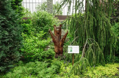 Yazın botanik bahçesi açık alanda çok güzeldir.