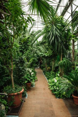 Yazın botanik bahçesi açık alanda çok güzeldir.