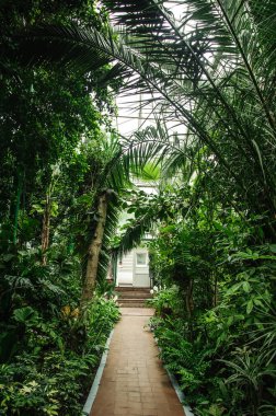 Yazın botanik bahçesi açık alanda çok güzeldir.