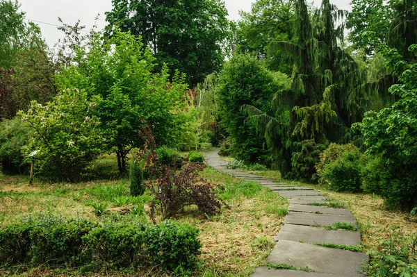 Giardino Botanico Estate Molto Bello Nello Spazio Aperto — Foto Stock