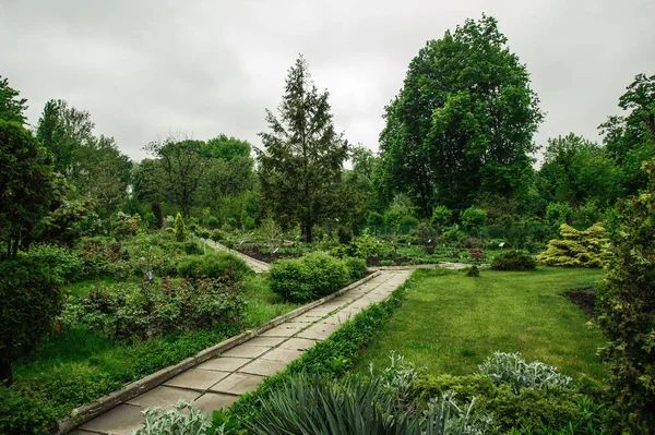 Botanischer Garten Sommer Ist Sehr Schön Freien lizenzfreie Stockfotos