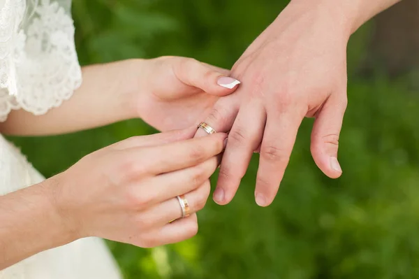 on the wedding day, the husband puts on a wedding ring to the bride in a white dress and it is happiness when two lovers\' hearts are united in a family